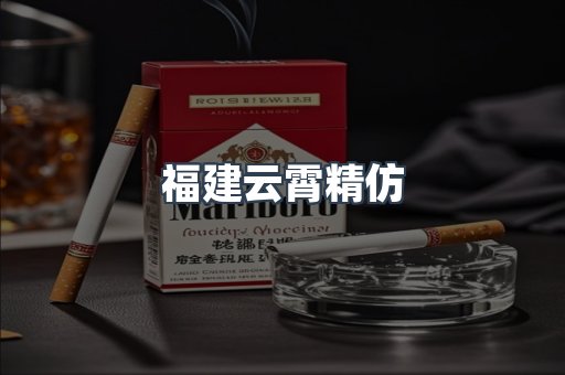 福建云霄精仿